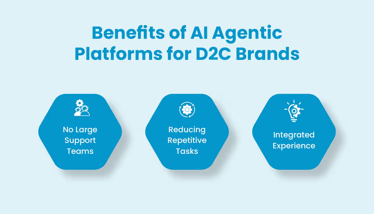 Benefits of AI Agentic Platforms for D2C Brands